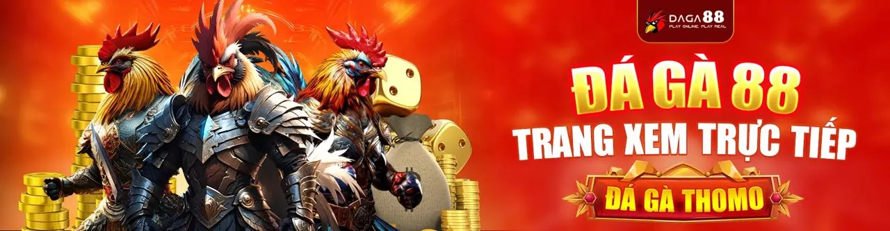 Điều khoản và điều kiện okking99 casino