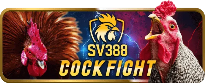 Cá cược có trách nhiệm okking99 casino